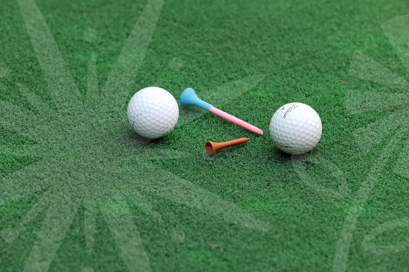 파크골프공