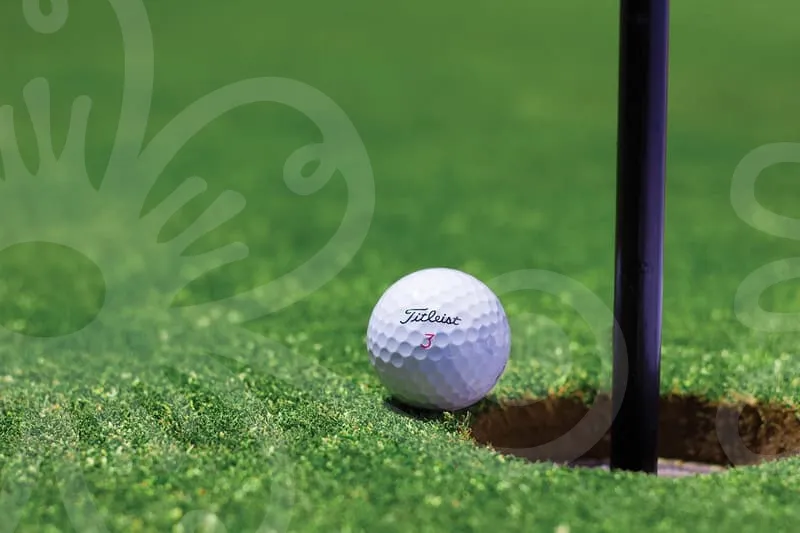 파크골프채국산