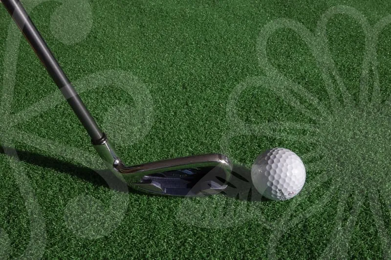 스크린파크골프