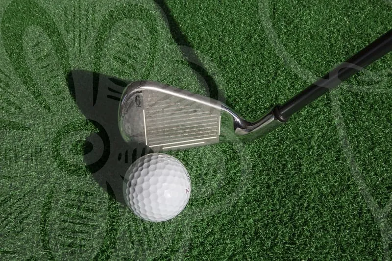 실내골프연습장