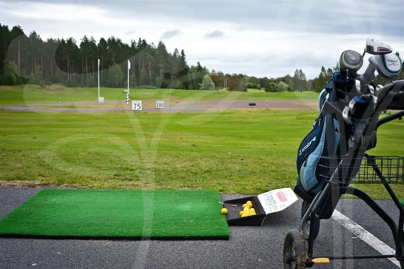 파크골프채국산