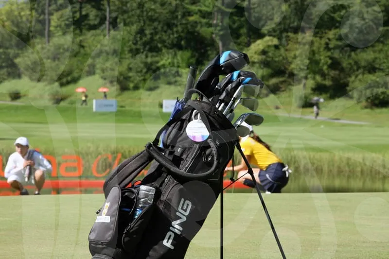 피닉스파크골프채