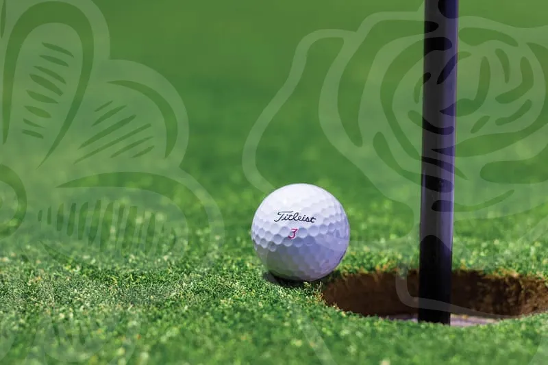 그라운드골프채