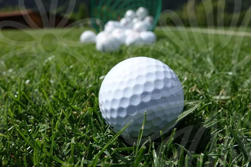 파크골프채추천