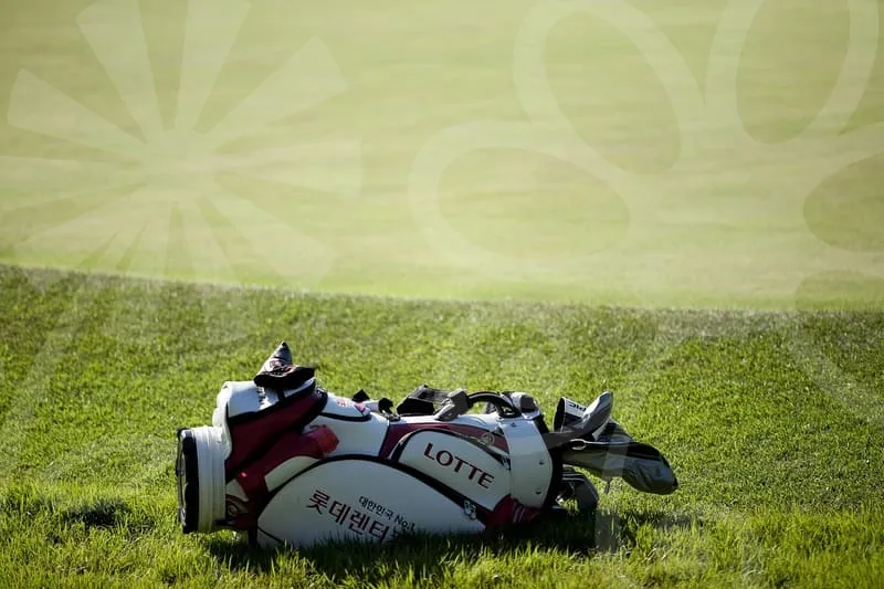 일본파크골프채