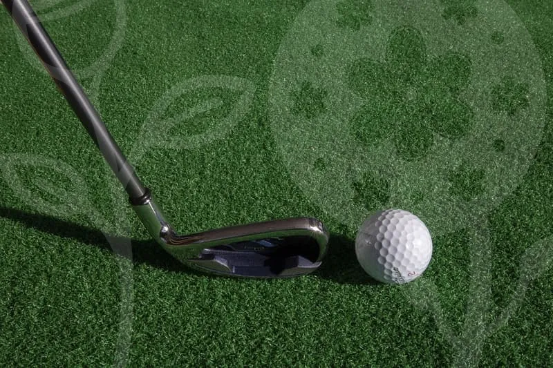 일본파크골프채