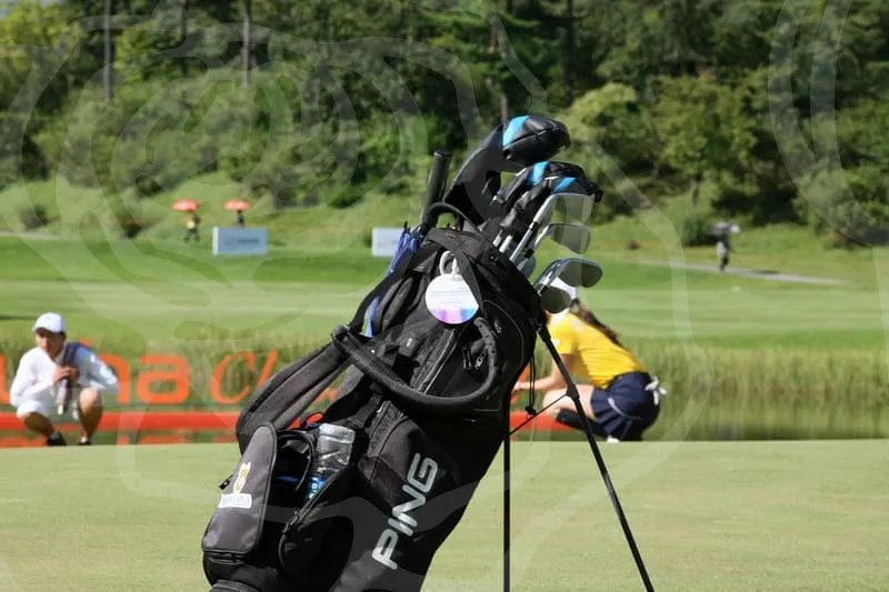 파크골프채순위