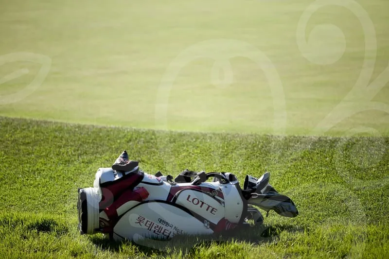 파크골프야광공