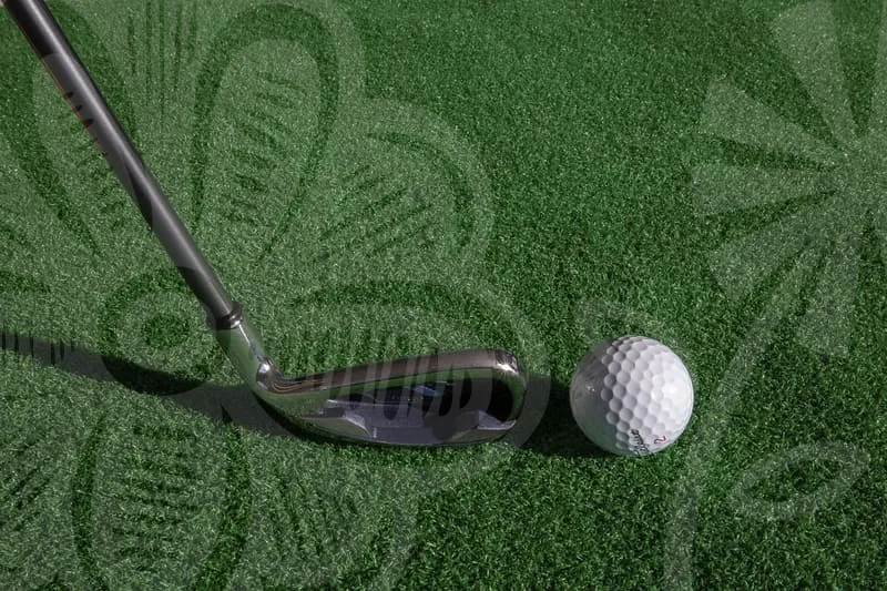 오토플렉스샤프트