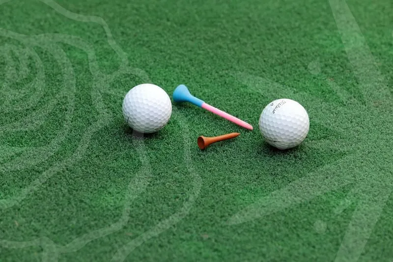 감나무파크골프채