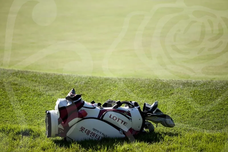 파크골프공4피스