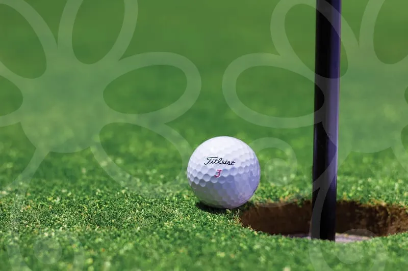 파크골프공추천