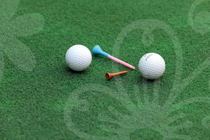 파크골프채가방