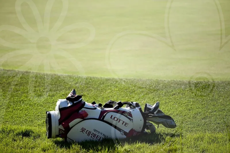 일본파크골프채