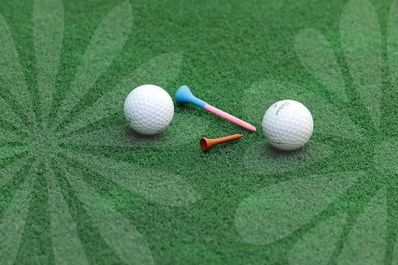 파크골프야광공