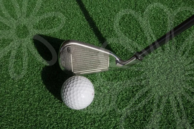 스크린골프창업비용