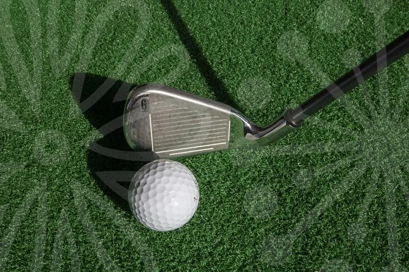 파크골프공집게