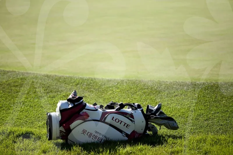 골프프라이드그립