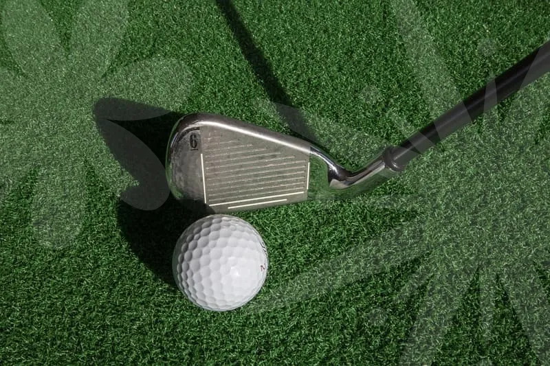 혼마여성풀세트