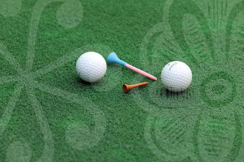 파크골프공집게