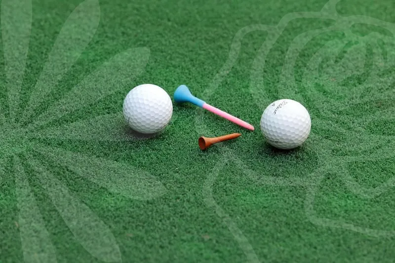 브릿지스톤아이언