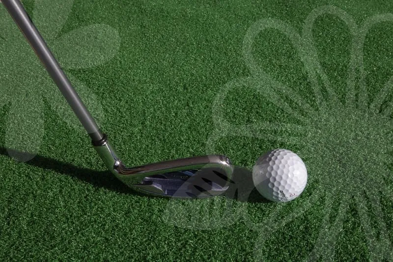 야외골프연습장