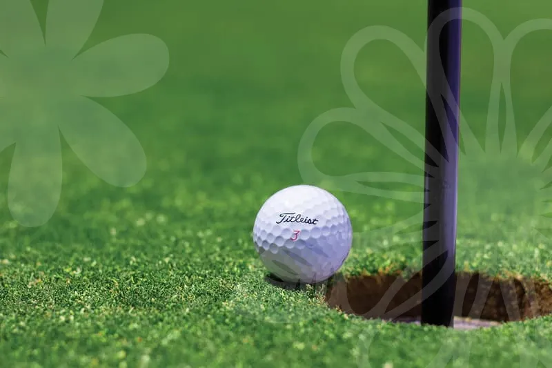 중고스크린골프