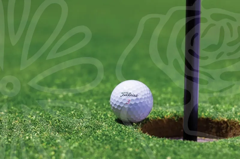 브릿지스톤아이언