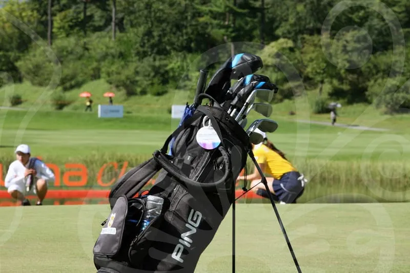 파크골프채추천