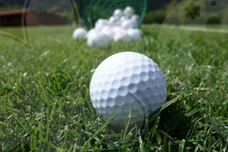 파크골프공