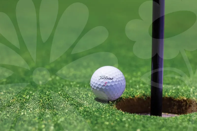 파크골프야광공