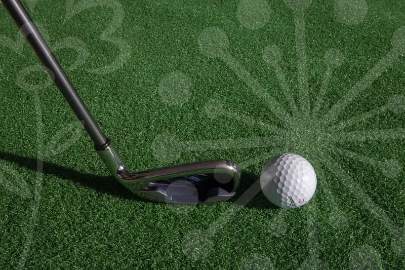 파크골프채