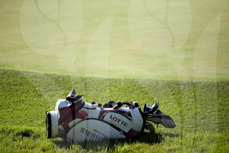 파크골프공추천