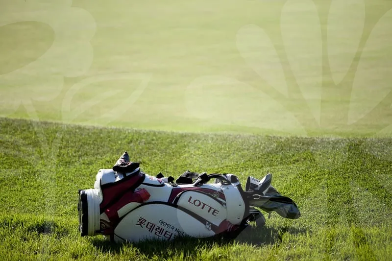 파크골프채순위