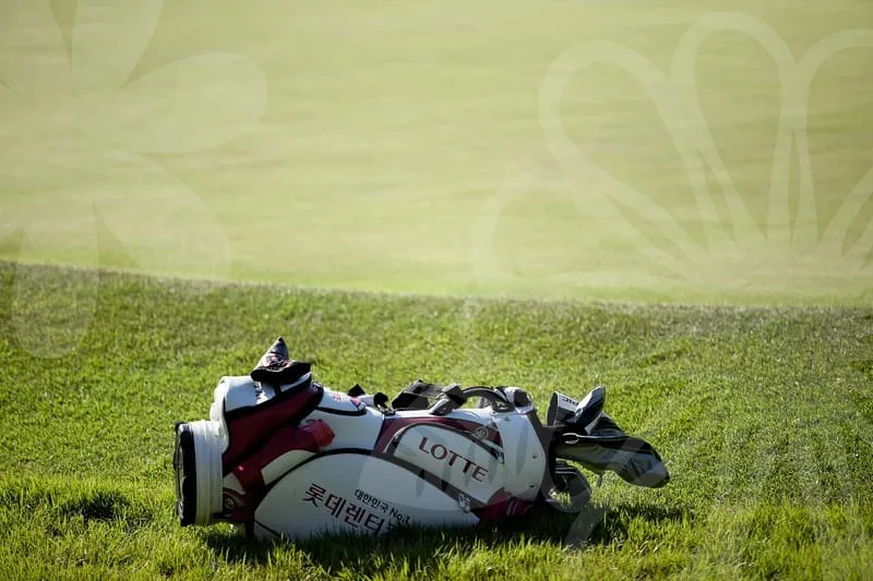 골프프라이드그립