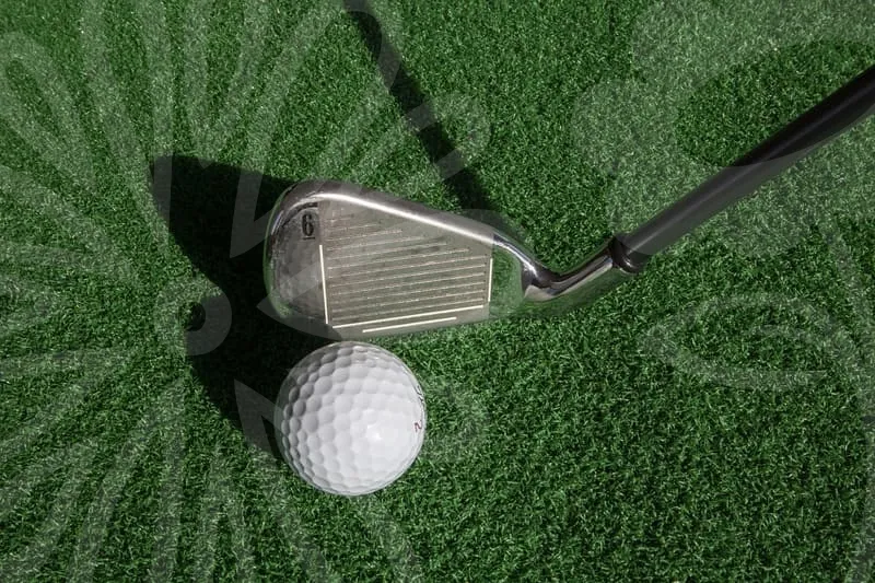 파크골프중고채