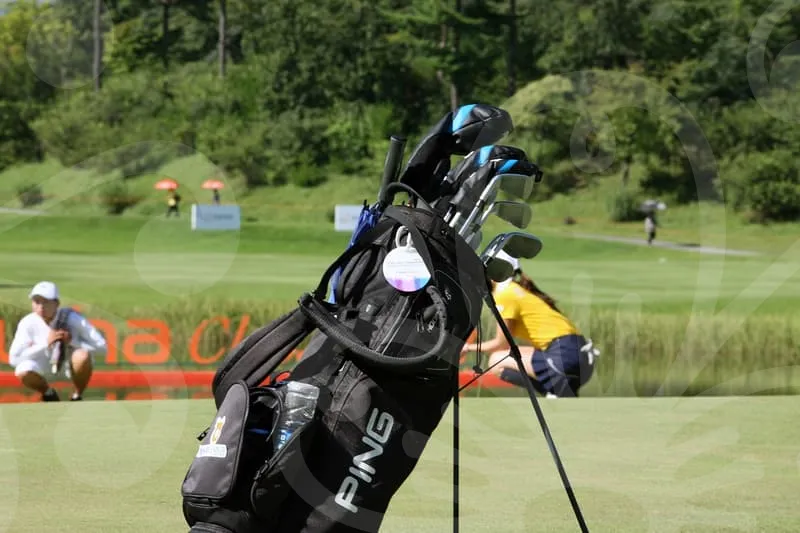 파크골프채추천