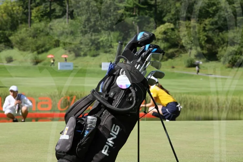 일본파크골프채