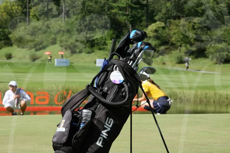 파크골프채순위