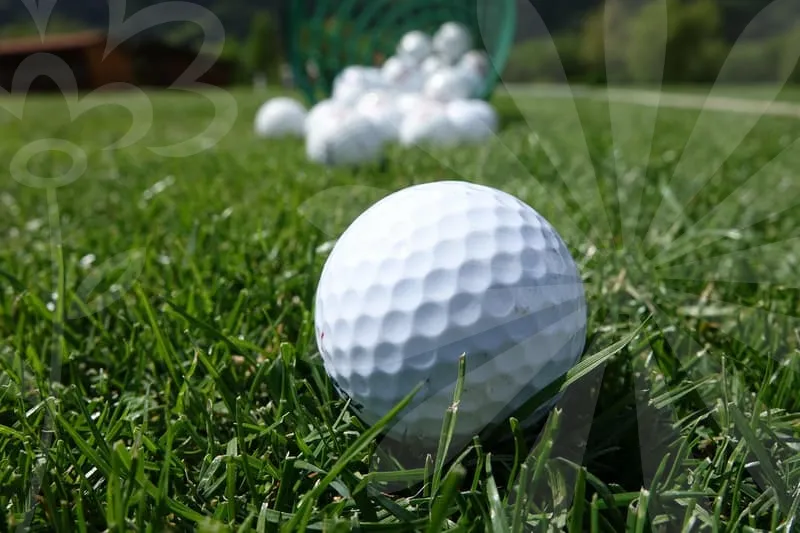 스크린파크골프