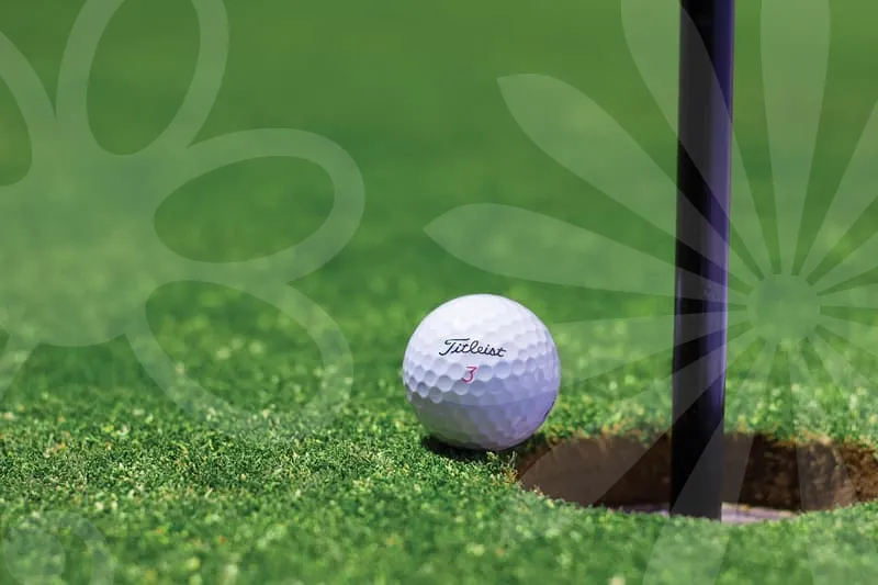 감나무파크골프채