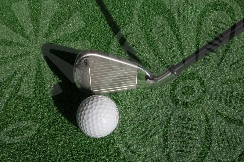 혼마여성풀세트