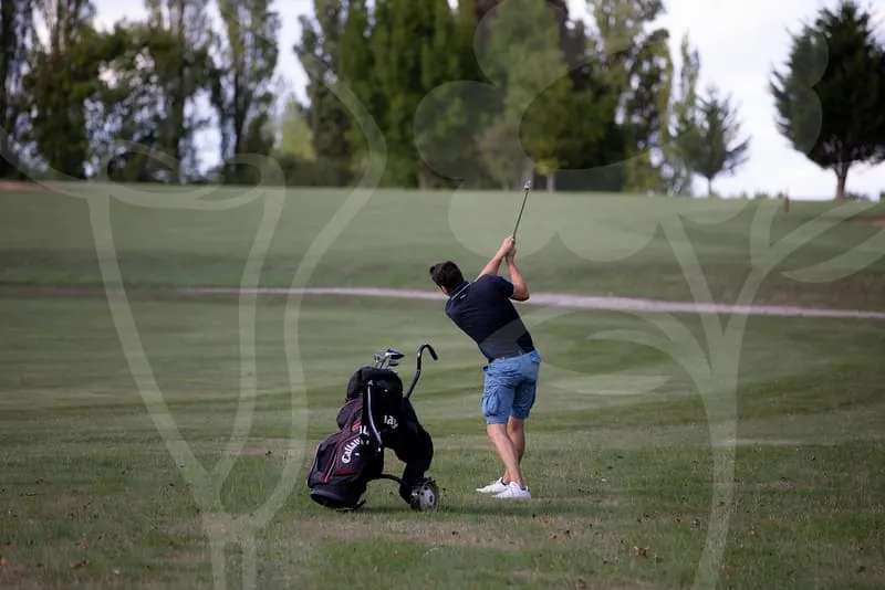 파크골프채순위