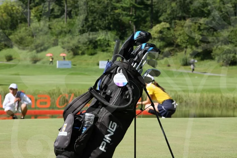 파크골프공가격