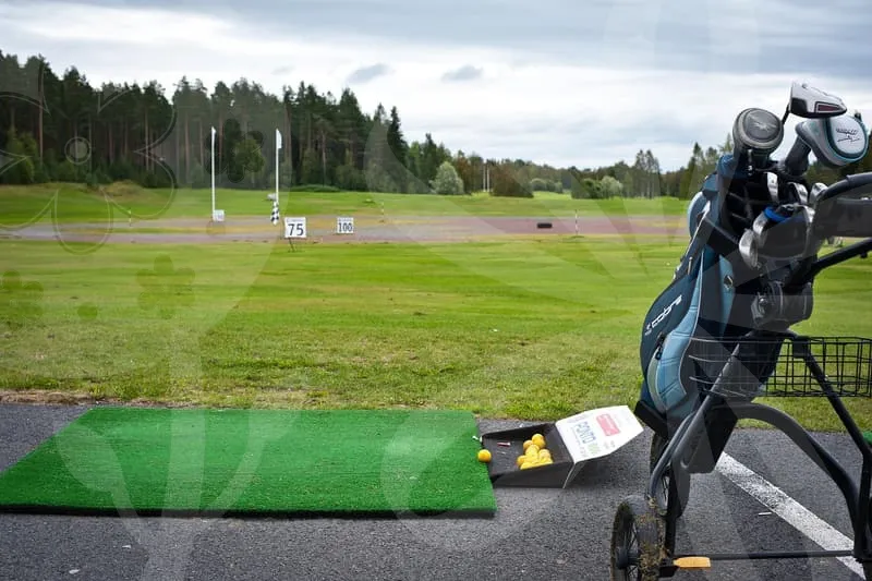 파크골프채국산