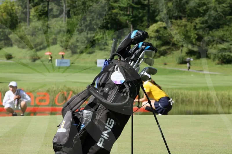 브릿지스톤아이언