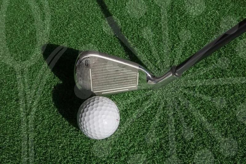 파크골프공추천