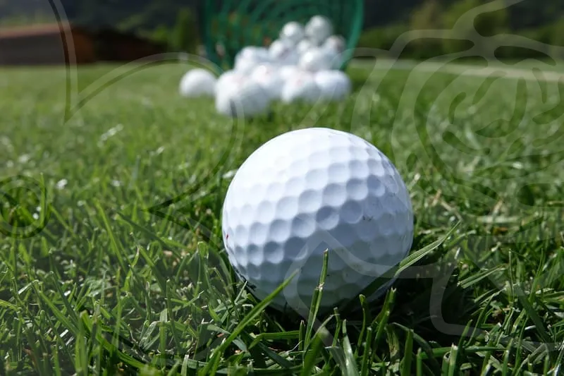 야외골프연습장