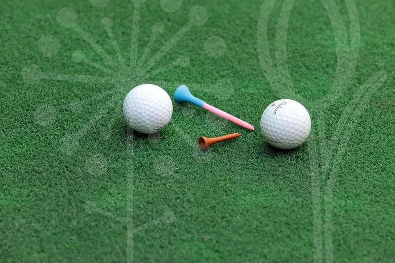 스크린파크골프