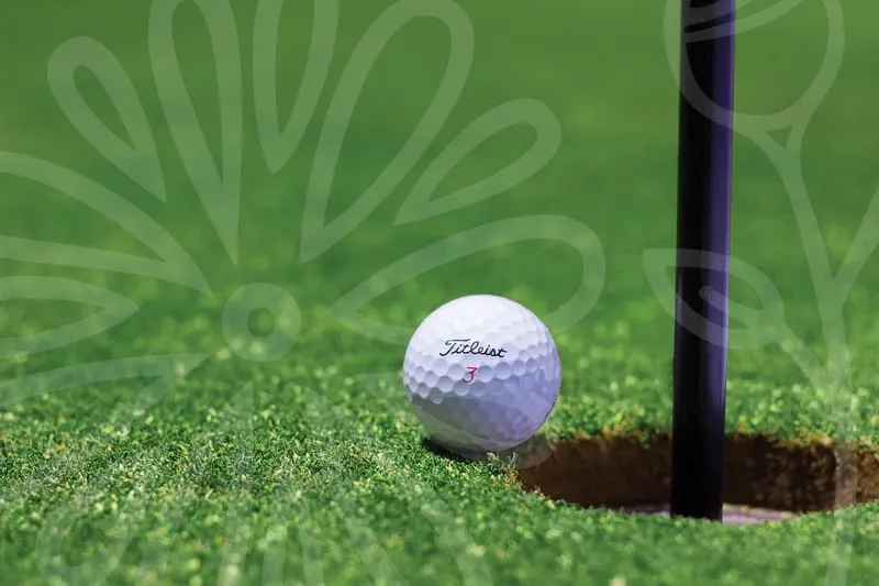 브릿지스톤아이언